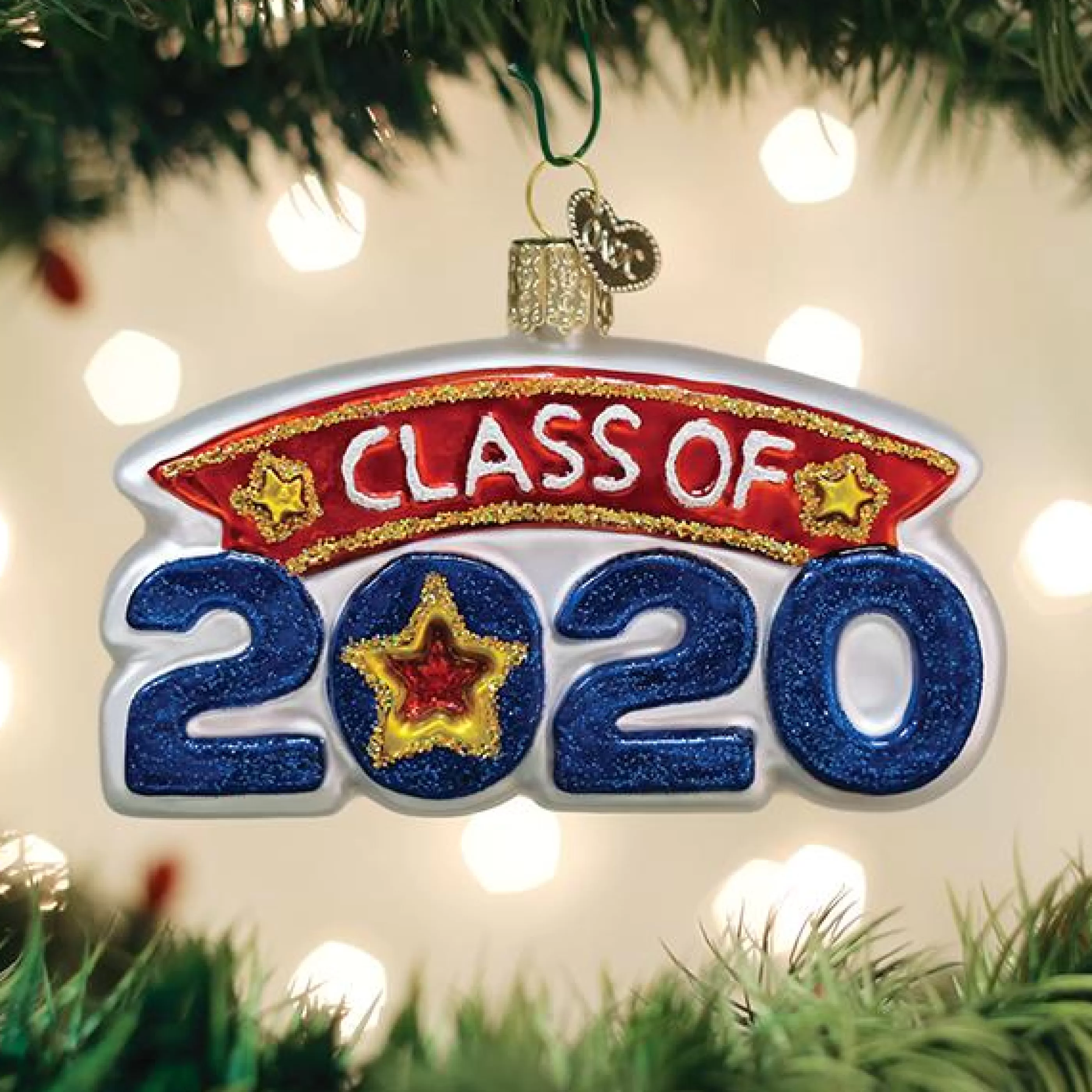 Kasa World Ltd Class Of 2020 Ornament