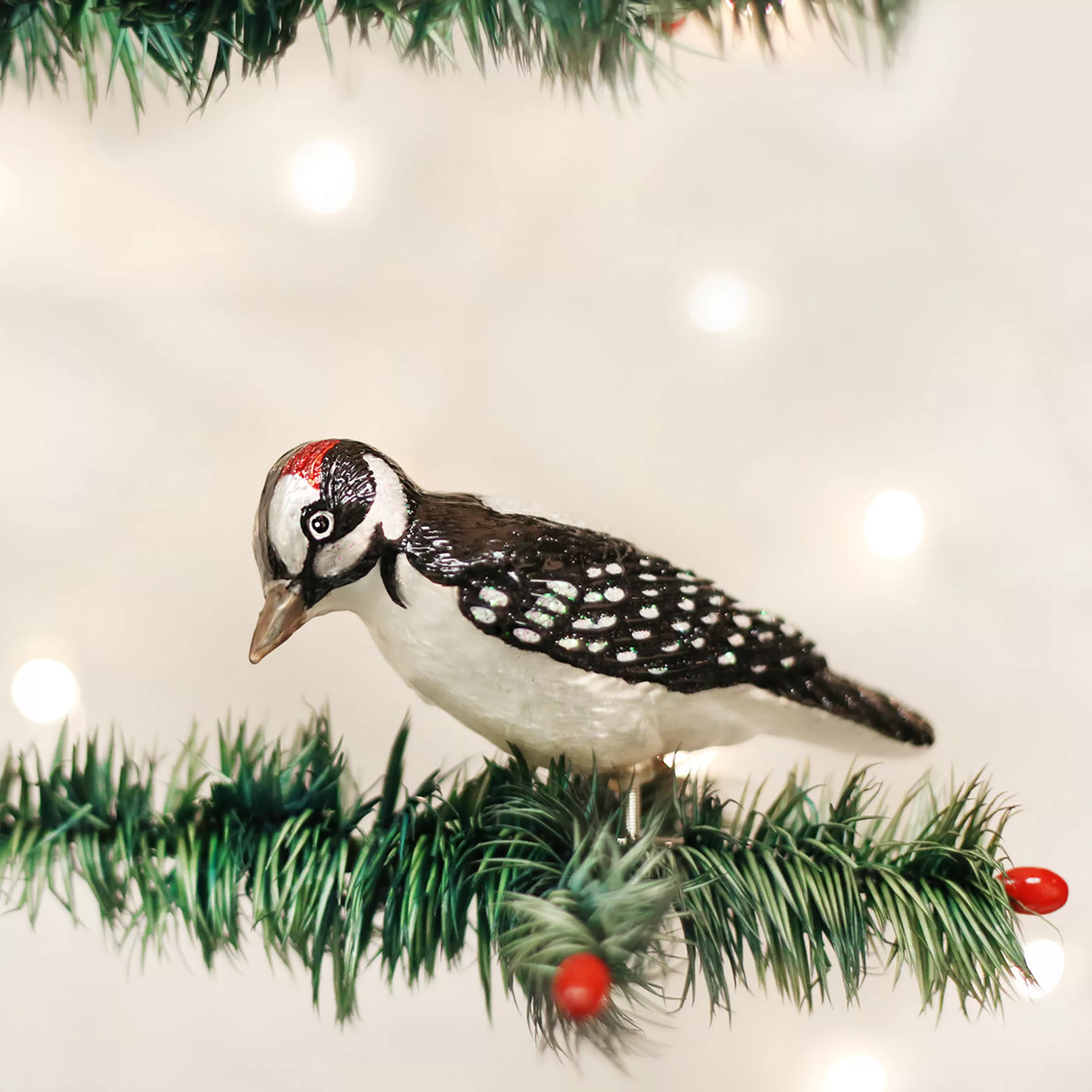 Kasa World Ltd Clip-On Hairy Woodpecker