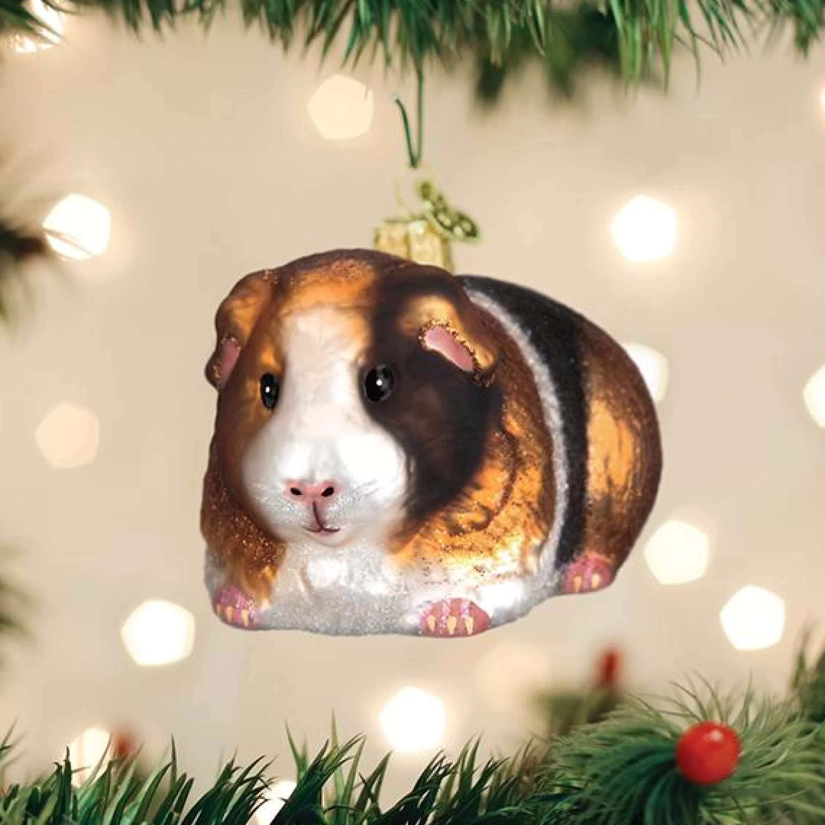 EAST WEST Guinea Pig Ornament