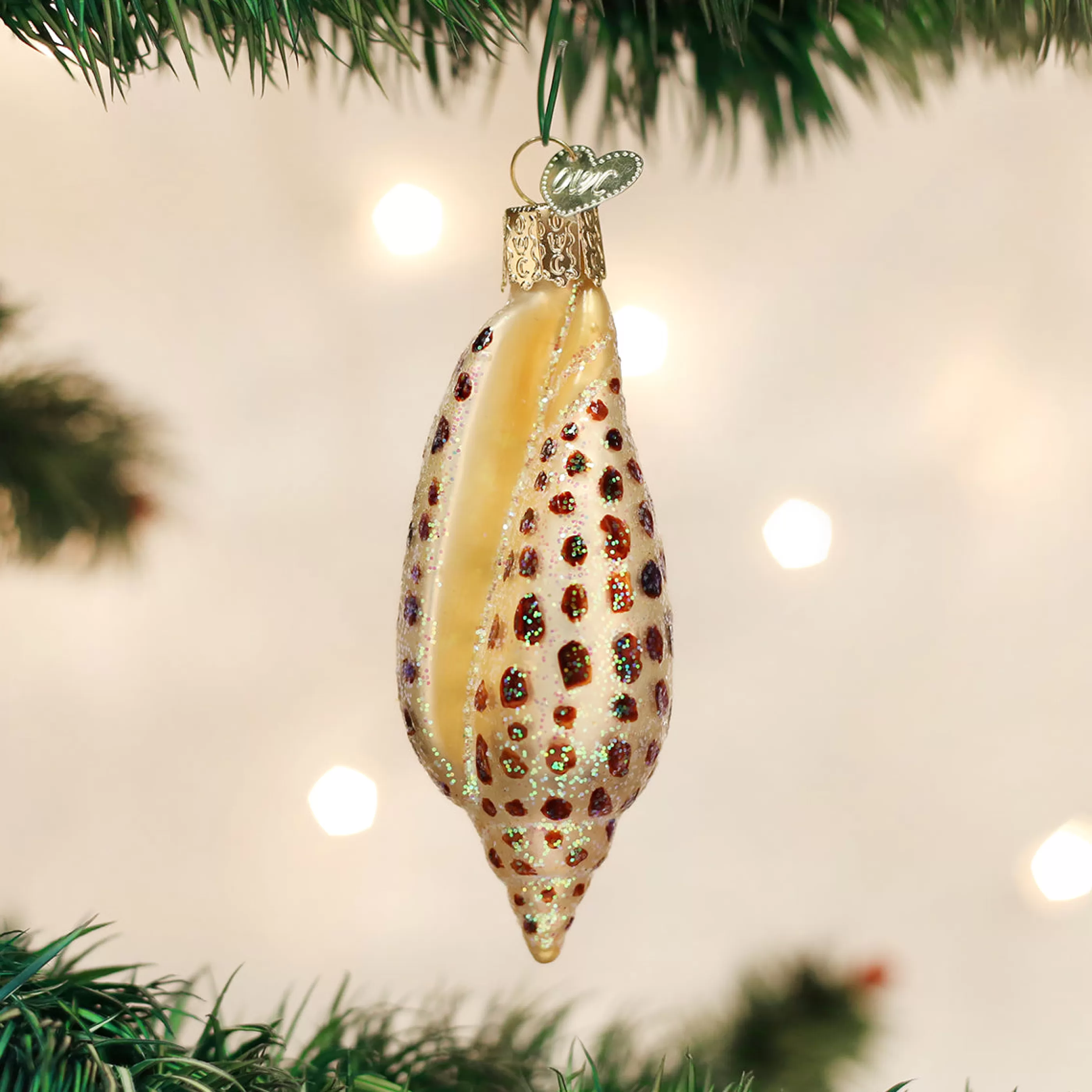 Kasa World Ltd Junonia Shell Ornament