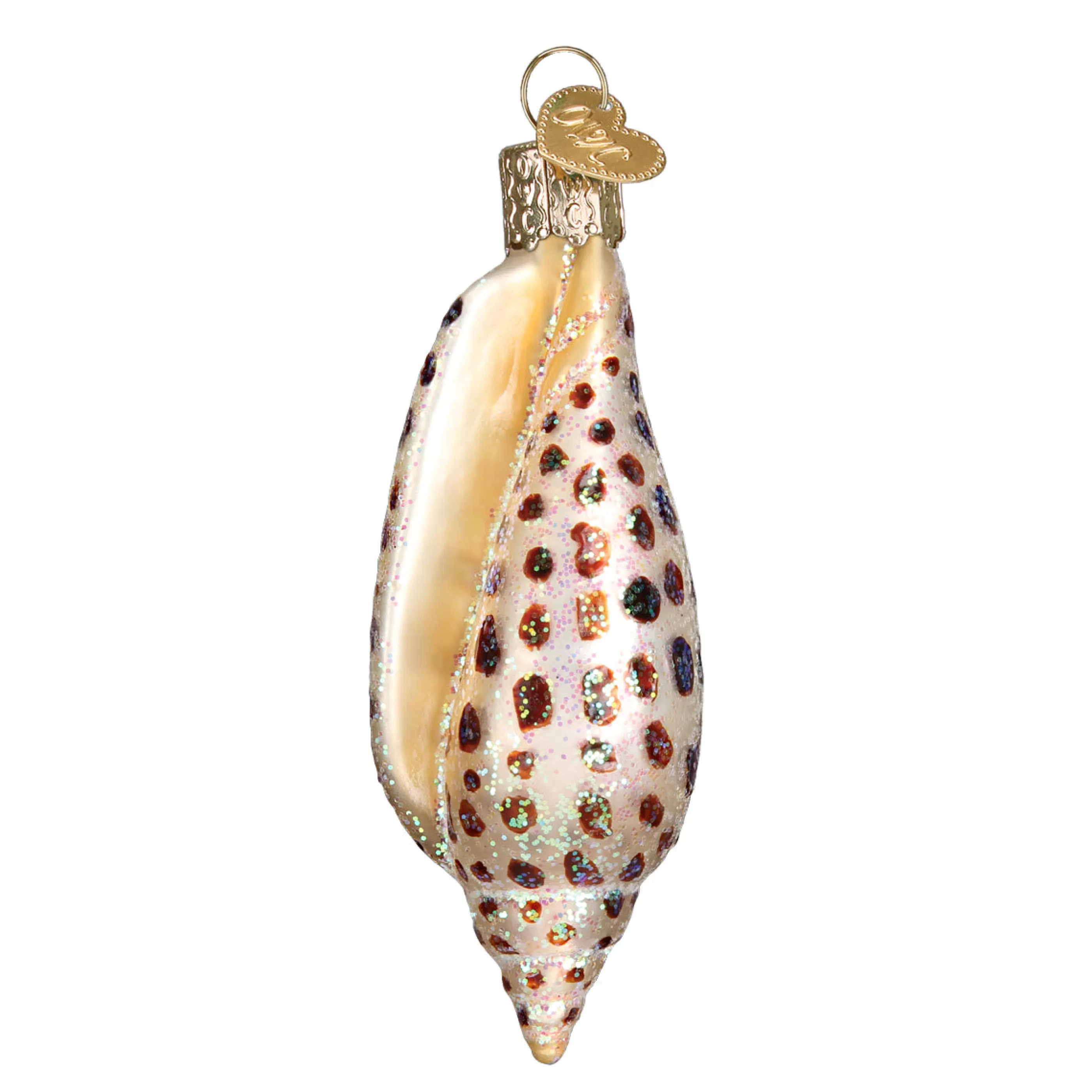 Kasa World Ltd Junonia Shell Ornament