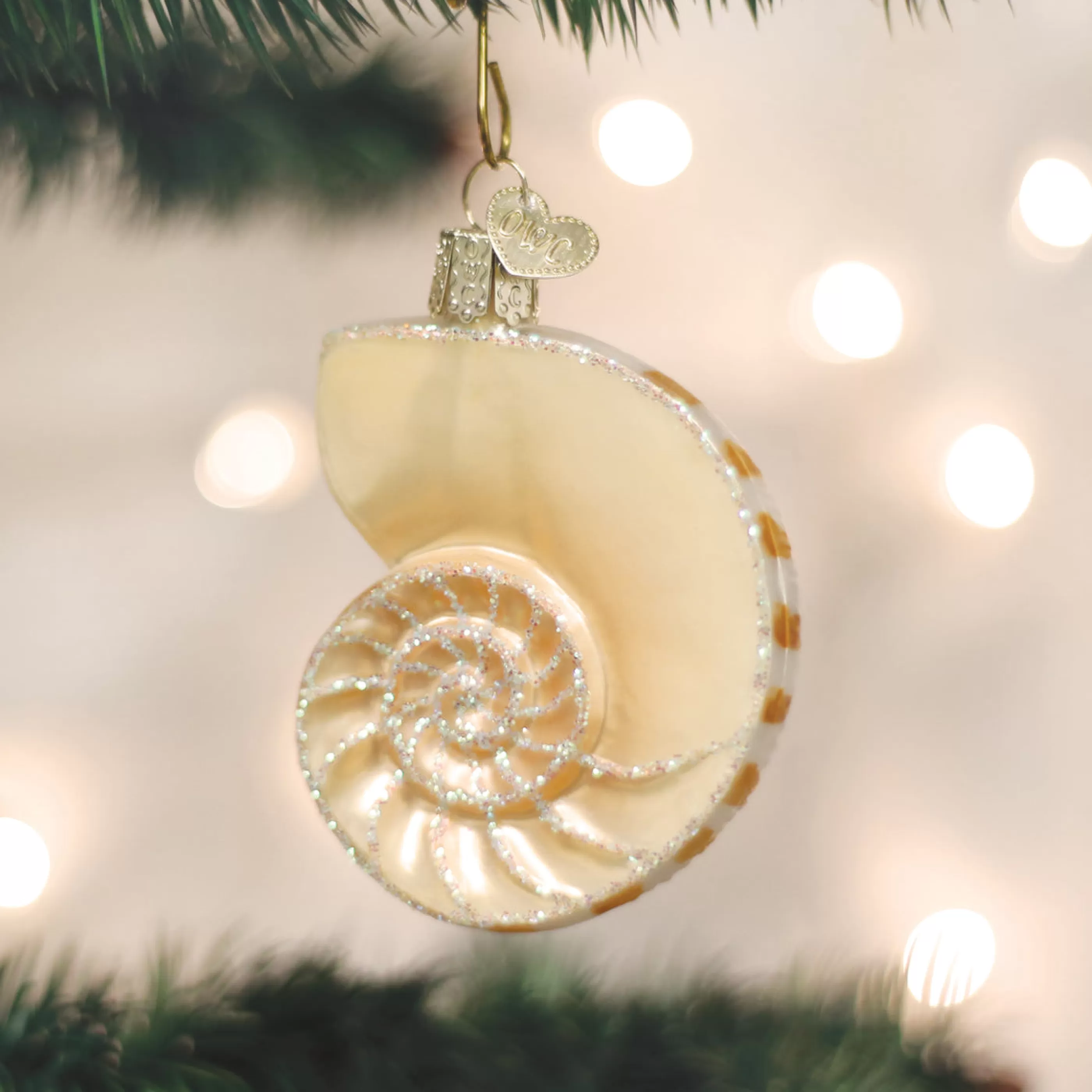 Kasa World Ltd Nautilus Shell Ornament