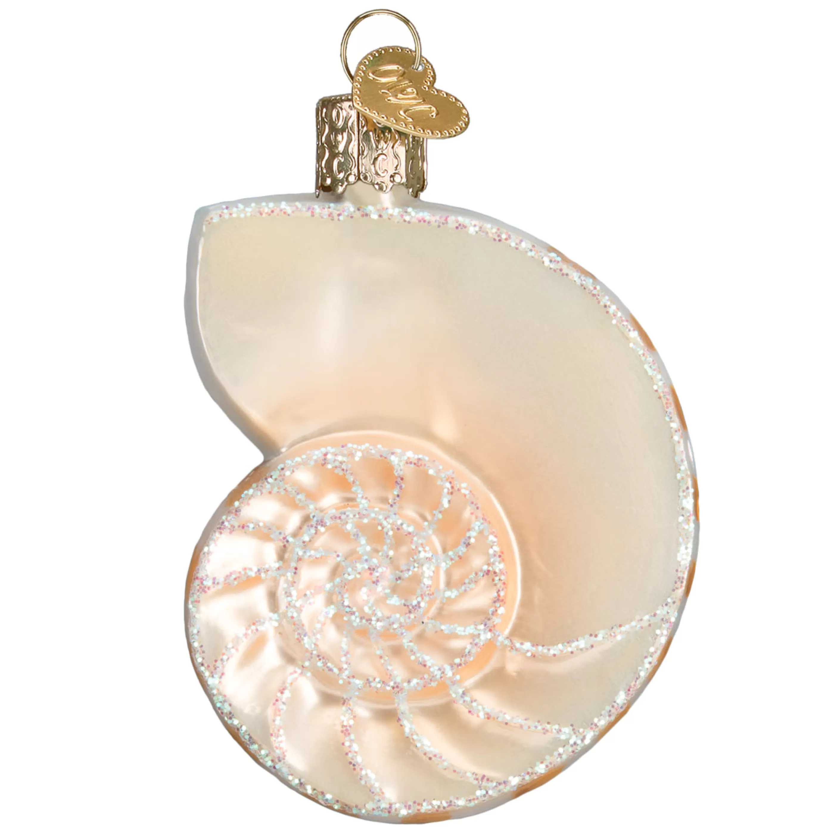 Kasa World Ltd Nautilus Shell Ornament