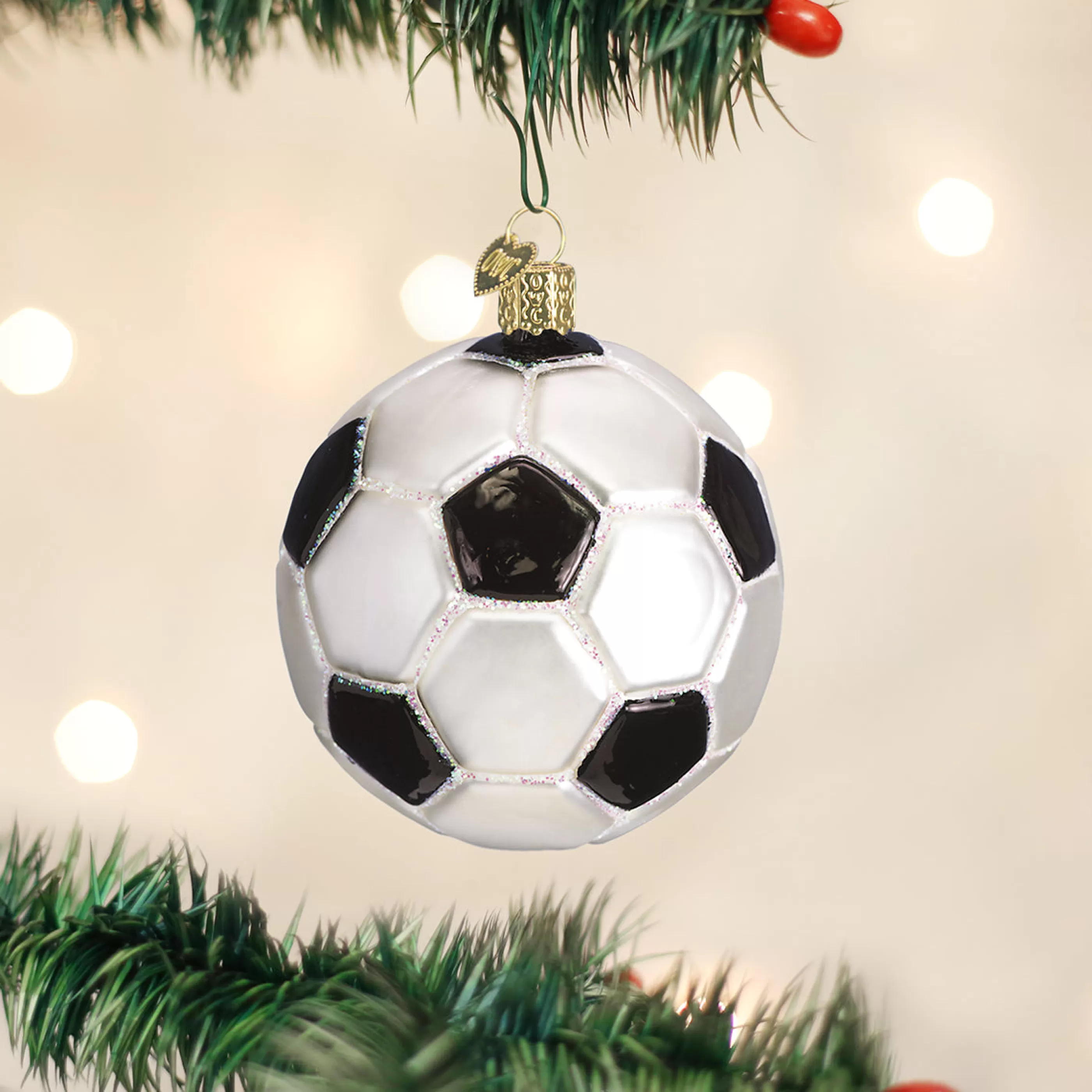 Kasa World Ltd Soccer Ball Ornament